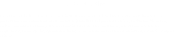 CYBER CRIMES From the globalization of Internet have born a host of legal issues strongly linked to the protection and enforcement of Industrial/intellectual property rights, including Websites, online communications, civil responsibility of service providers, questions related to copyrights, trademarks, sponsored links, trade-dress protection of websites, as well as many others.